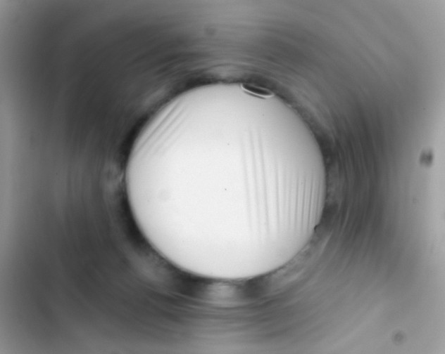 X0000103150176200809192038