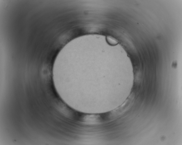 X0000103150179200809192038