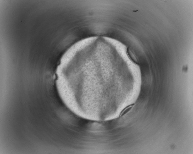 X0000103150180200809192038