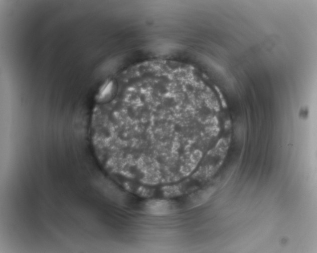 X0000103150181200809192038