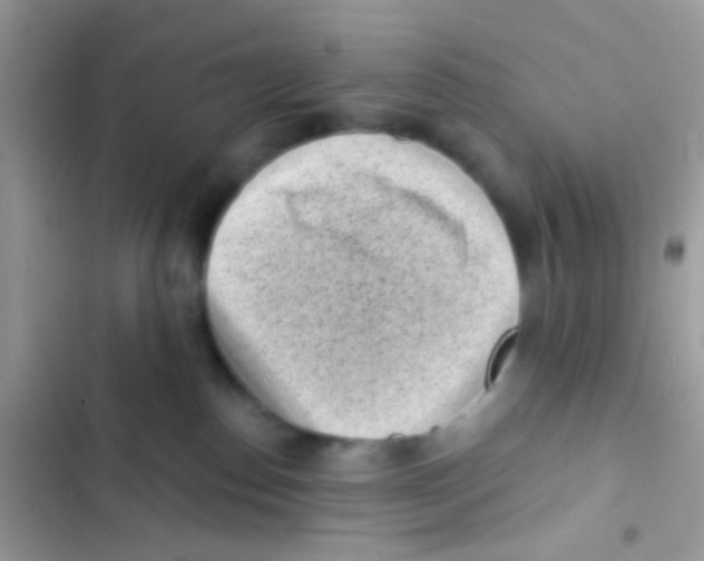 X0000103150186200809192038