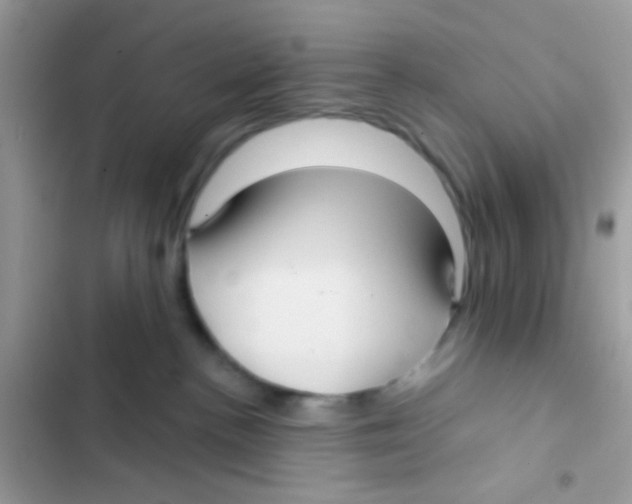 X0000103150188200809192038