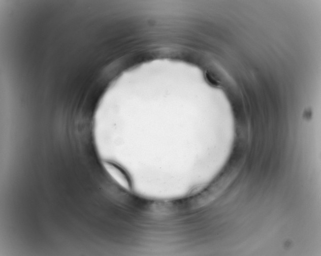 X0000103150189200809192038