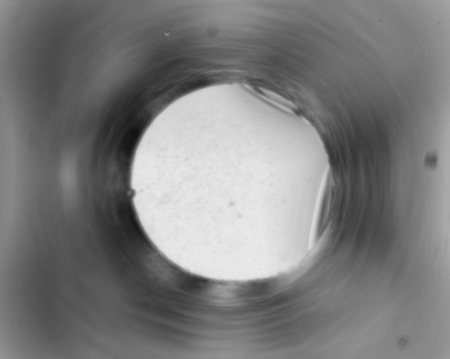 X0000103150190200809192038