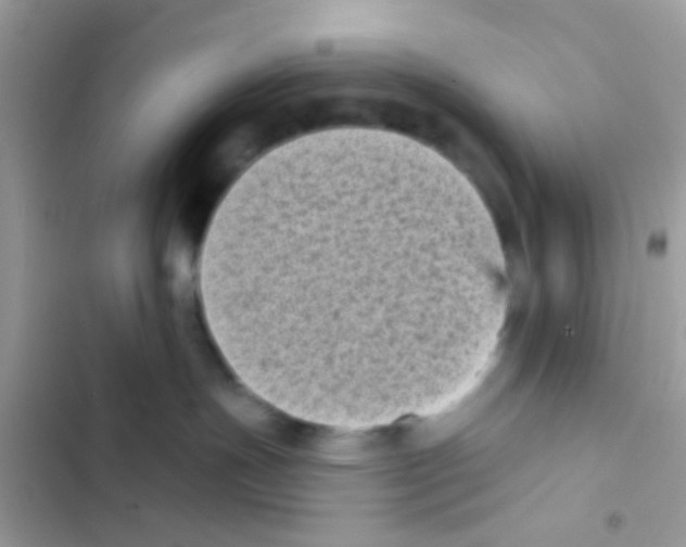 X0000103150191200809192038