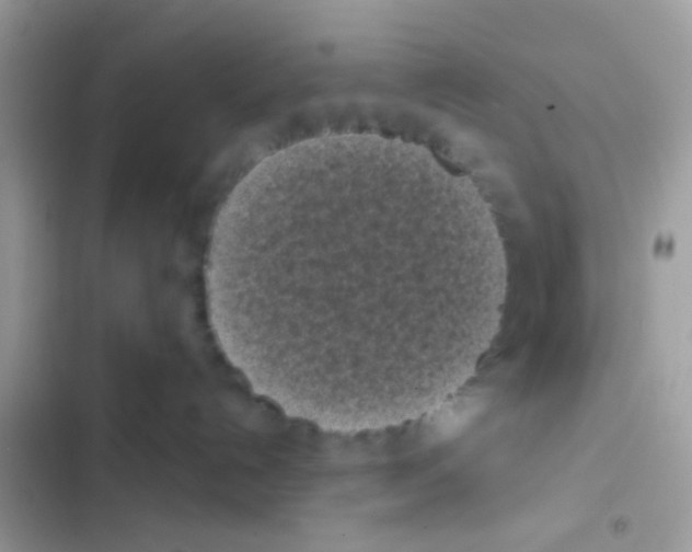 X0000103150192200809192038