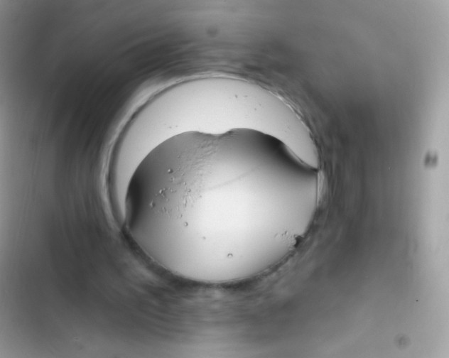 X0000103150195200809192037