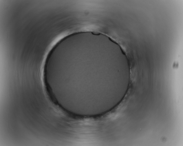 X0000103150196200809192037