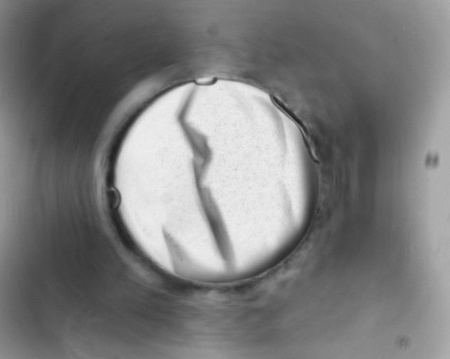 X0000103150197200809192037