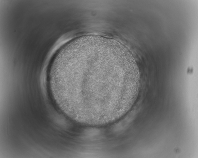 X0000103150198200809192037