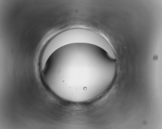 X0000103150199200809192037