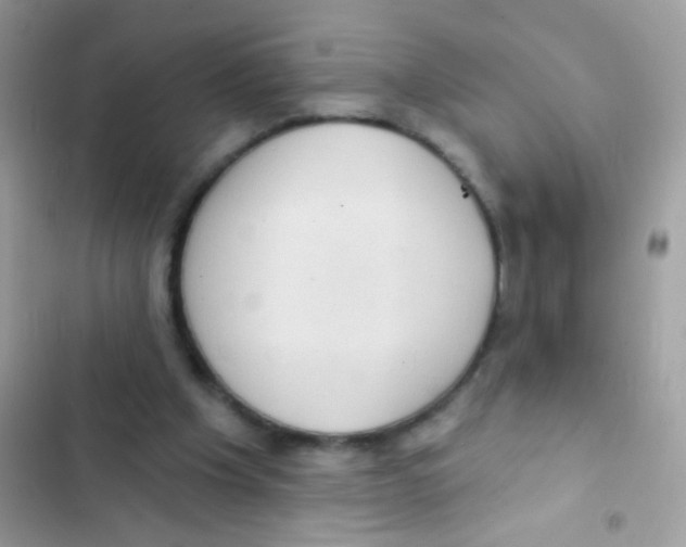 X0000103150201200809192037