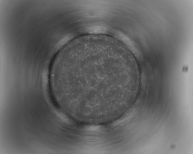 X0000103150202200809192037