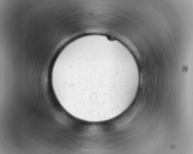 X0000103150204200809192037