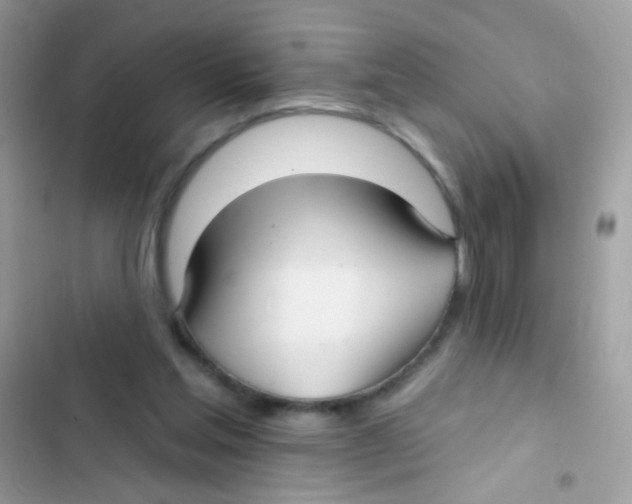 X0000103150205200809192037