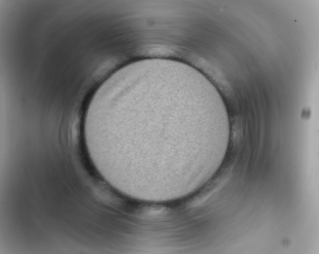 X0000103150206200809192037