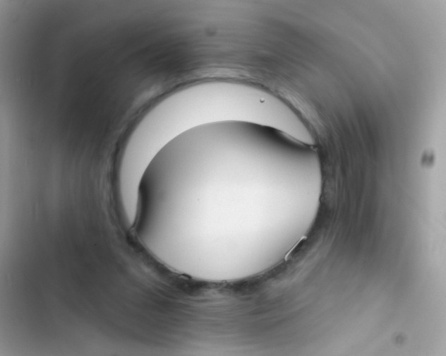 X0000103150207200809192037