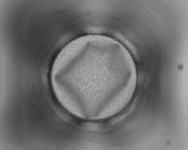 X0000103150209200809192037