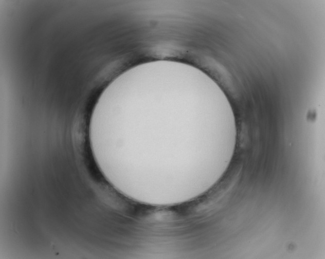 X0000103150210200809192037