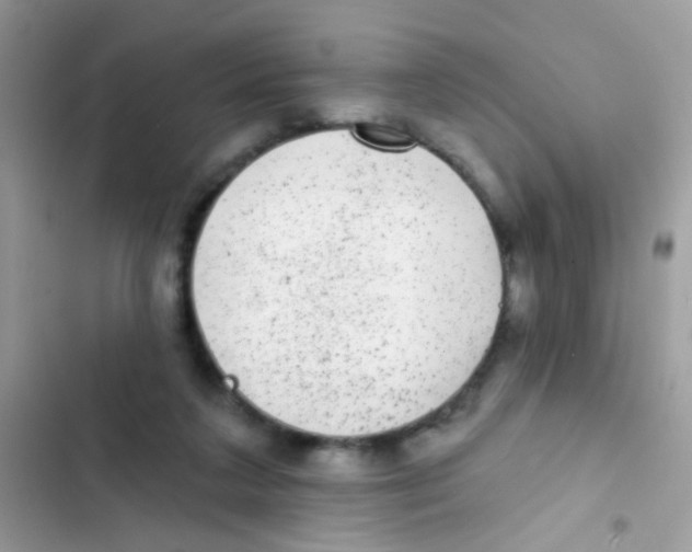 X0000103150211200809192037