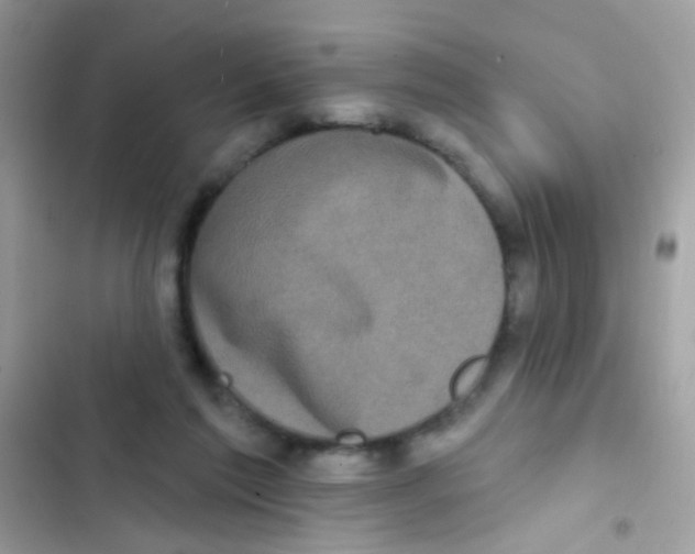 X0000103150213200809192037