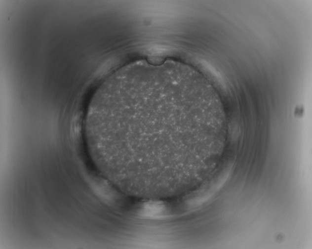 X0000103150214200809192037