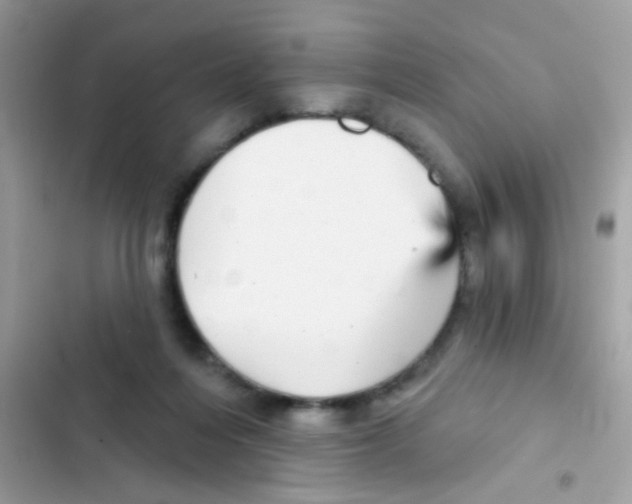 X0000103150216200809192037