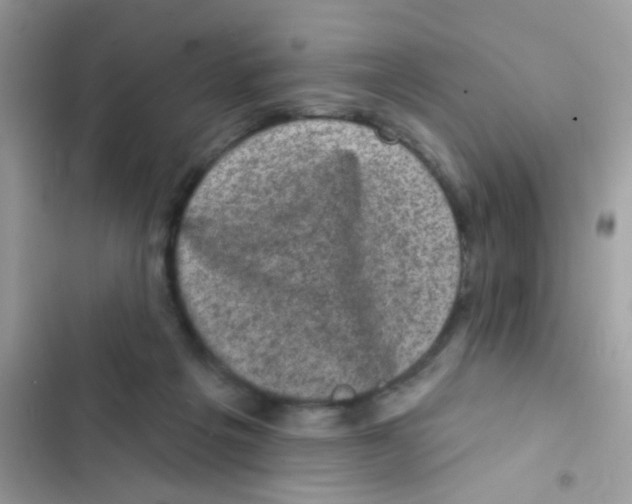 X0000103150217200809192037