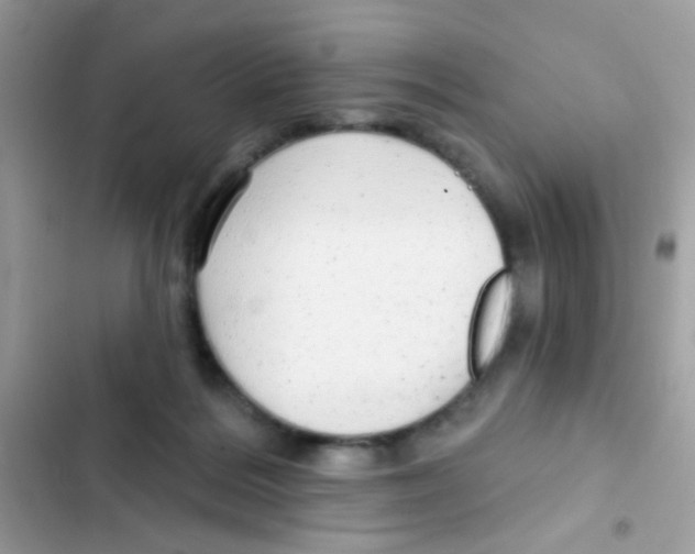 X0000103150220200809192037