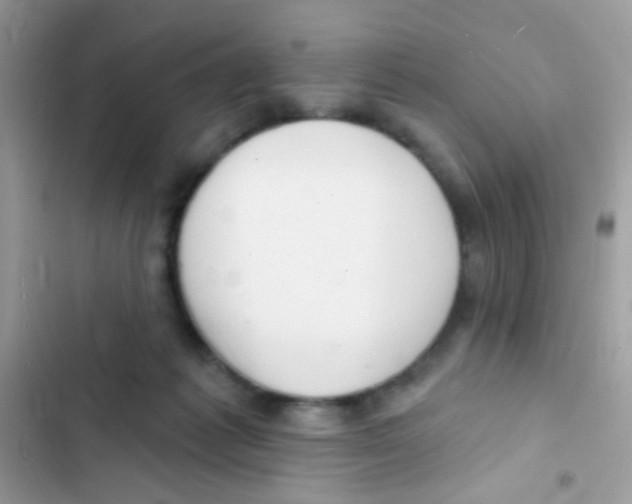 X0000103150221200809192037