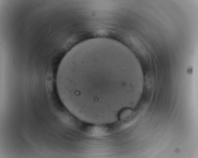 X0000103150223200809192037