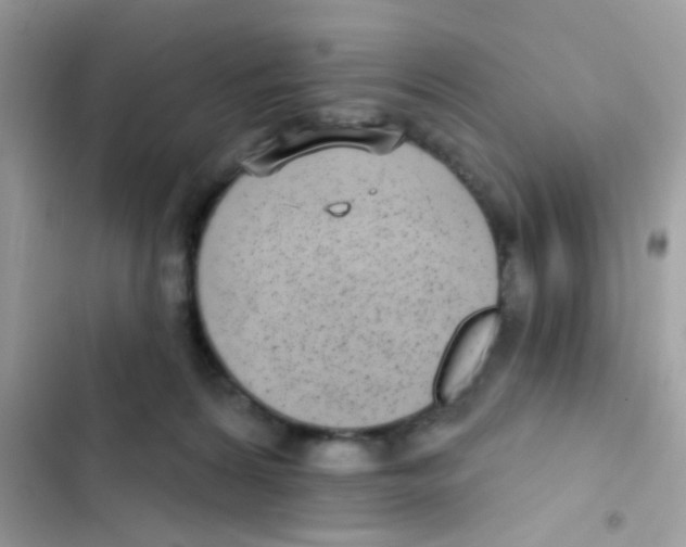 X0000103150224200809192037