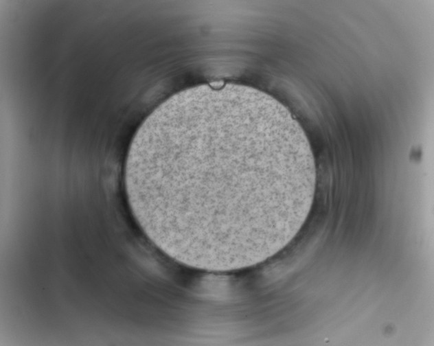 X0000103150227200809192037