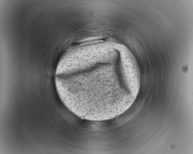 X0000103150229200809192037