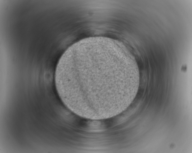 X0000103150230200809192037