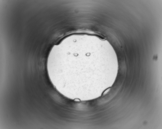 X0000103150232200809192037