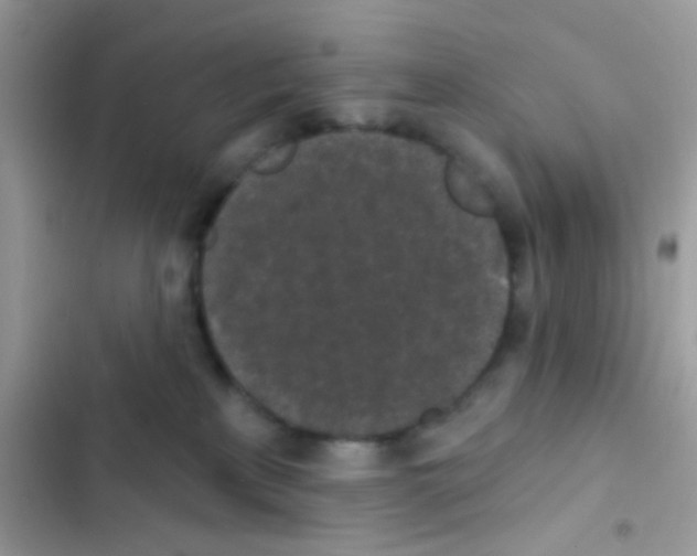 X0000103150233200809192037