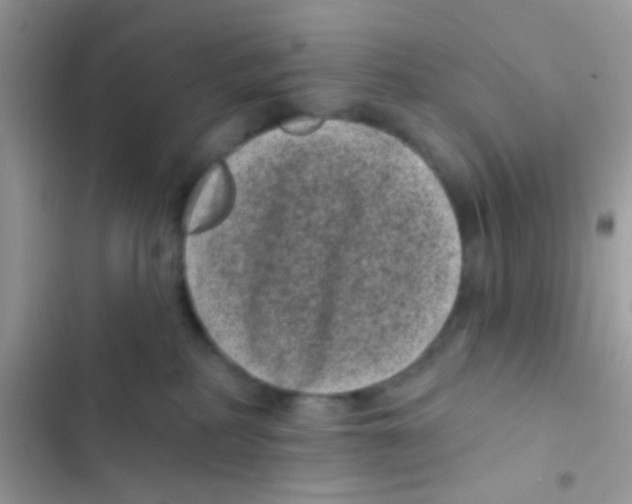 X0000103150234200809192037