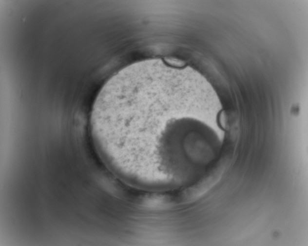 X0000103150235200809192037