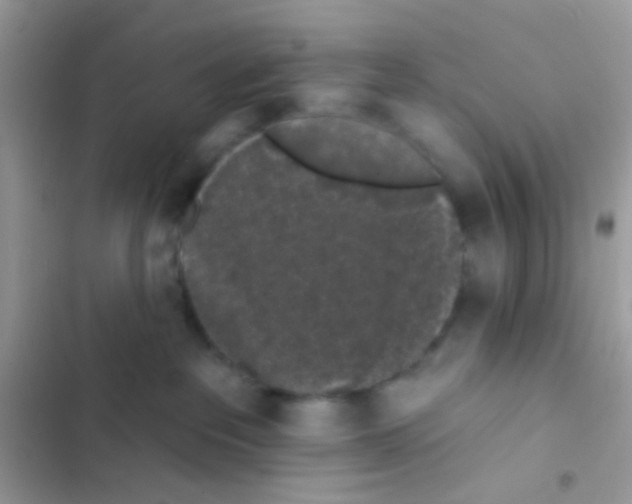 X0000103150237200809192037