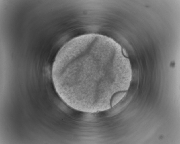 X0000103150238200809192037