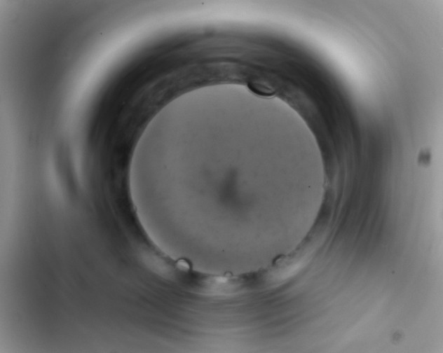 X0000103150239200809192037