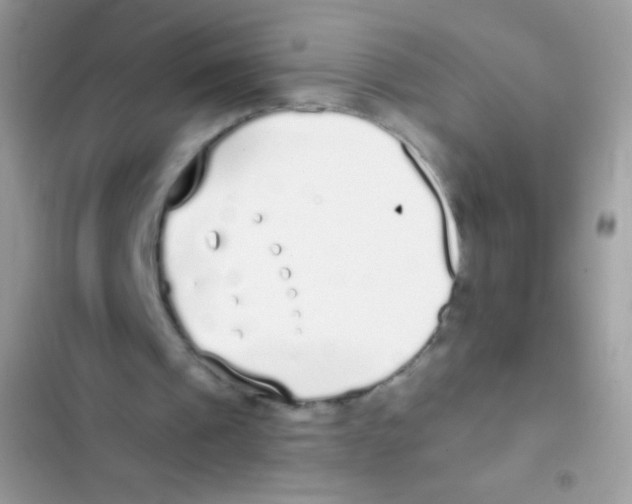 X0000103150241200809192036