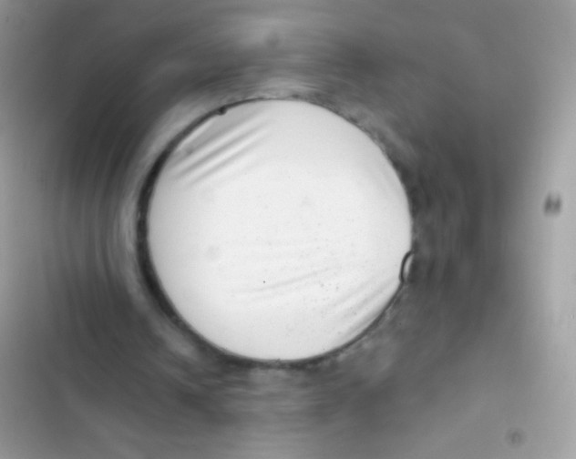 X0000103150242200809192036