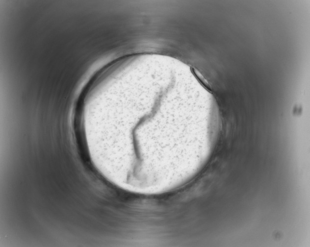 X0000103150244200809192036