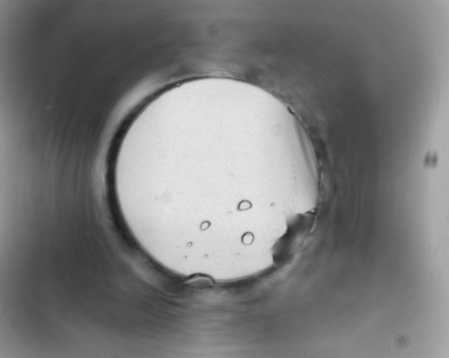 X0000103150246200809192036