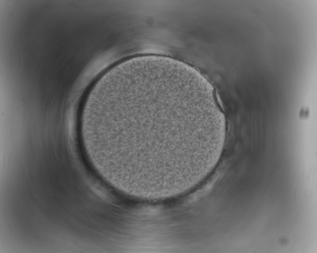 X0000103150247200809192036