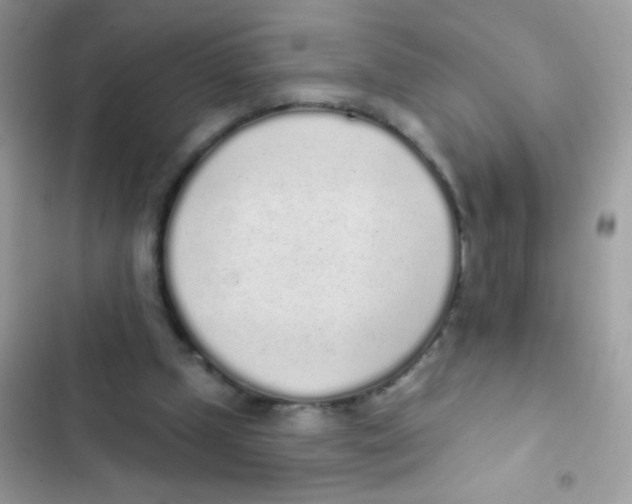 X0000103150249200809192036