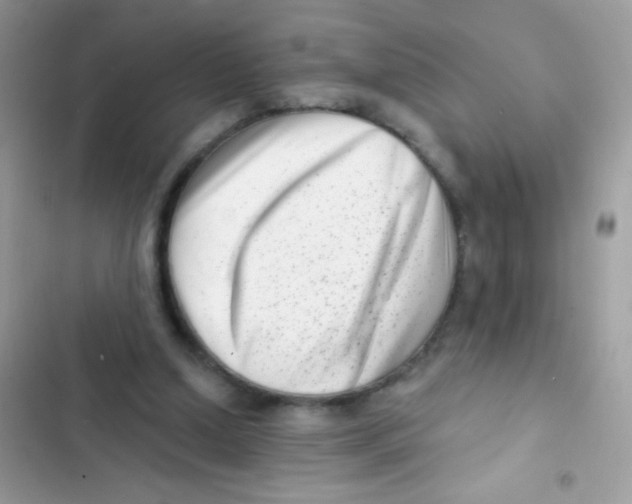 X0000103150250200809192036