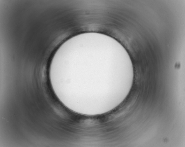 X0000103150251200809192036